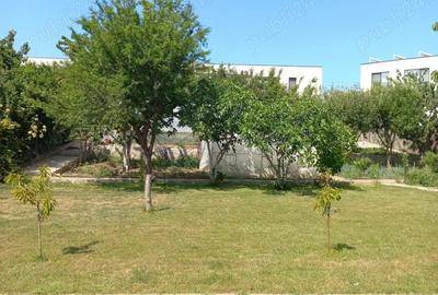 Casă cu 2 camere în Central - 5