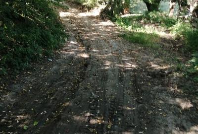 Teren de 1600 mp, în Cacica - 5
