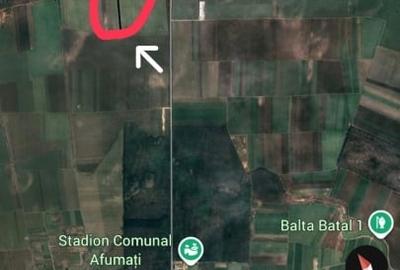 Teren extravilan 5.000 mp2 Afumați Ilfov, lângă București - 2