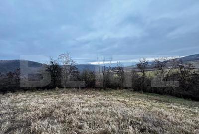 Teren de 4300 mp, în Vințu de Jos