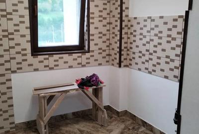 Apartament cu 2 camere decomandat în Abrud-Sat - 9