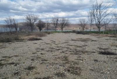 Teren de 1000 mp, în Vrancea - 7