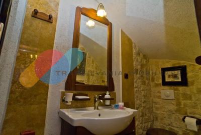 Complex  Printesa din Carpati  - Oportunitate de Investitie Unica pe Valea Aries Complex  Printesa din Carpati  - Oportunitate de Investitie Unica pe Valea Aries - 19