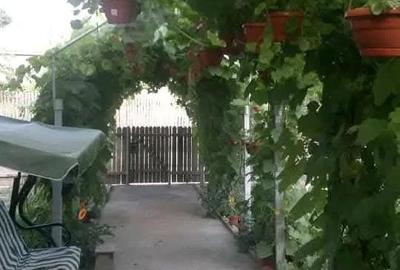 Casă cu Teren 2000 Mp în Central - 5