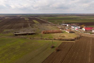 Spațiu industrial, de 3,000 mp, în Mișca - 9