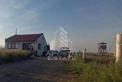 Farmhouse la 14km de Timisoara, teren agricol 1ha - 3