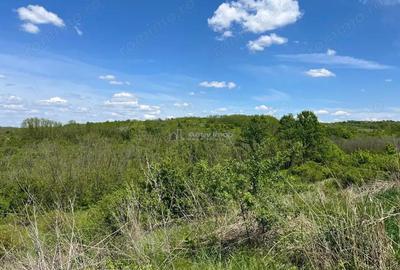 Lugoj Teren 8.200 Mp., Dealul Viilor, Priveliste Impresionanta - 16