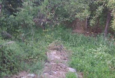 Casă cu Teren 800 Mp în Central - 3