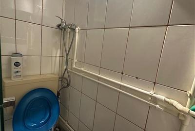 Camera de camin, Podu Ros - 4