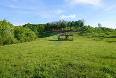 Teren 15,000mp Sighetu Marmatiei / Strada Mocani?ei - 13