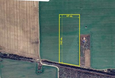 Teren agricol extravilan de 22200 mp, în Grădiștea - 1