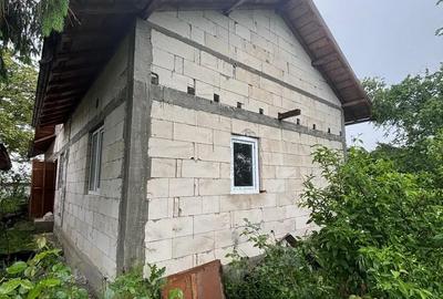 Casă cu 3 camere cu Teren 2000 Mp în Produlești - 2