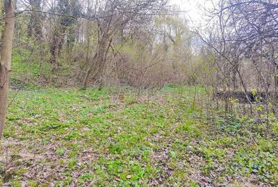 Teren Intravilan Centrul Civic - 8