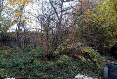 Casă cu 2 camere în Dobriceni - 1