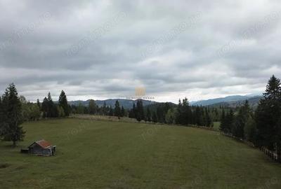 Teren de 16813 mp, în Fundu Moldovei - 13