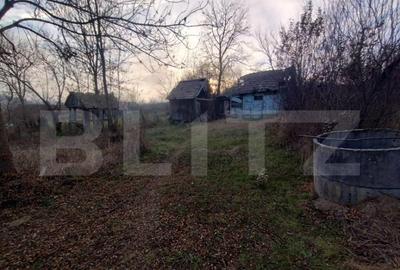 Casă cu 3 camere cu Teren 2700 Mp în Lechința - 1