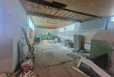 Spațiu industrial, de 290 mp, în Almaș - 13