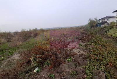 Teren în Corbeanca - 15