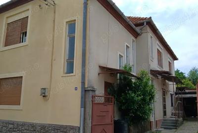 Proprietate deosebita ideala pentru o familie numeroasa sau investitie - 2