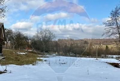 Casă cu 2 camere cu Teren 9035 Mp în Breb - 5