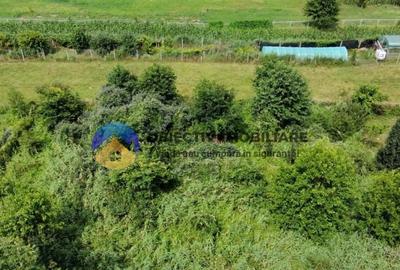 Teren intravilan com. Alexandru cel Bun- Viisoara - 4