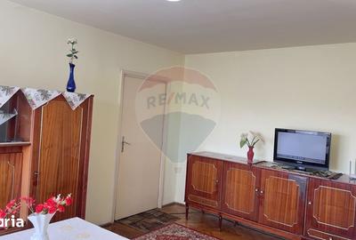 Apartament cu 3 camere semidecomandat, mobilat în Podgoria - 19