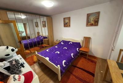 Garsonieră semidecomandată în Valea Rosie - 2