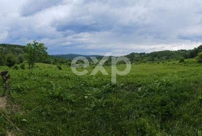 Teren agricol extravilan de 11935 mp, în Mărgineni - 3
