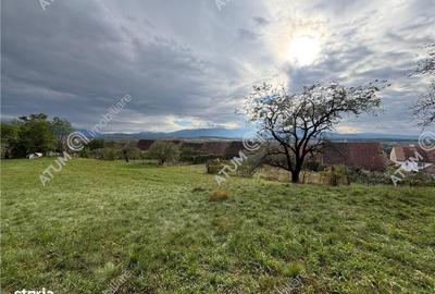 Spațiu comercial, în Mohu - 2