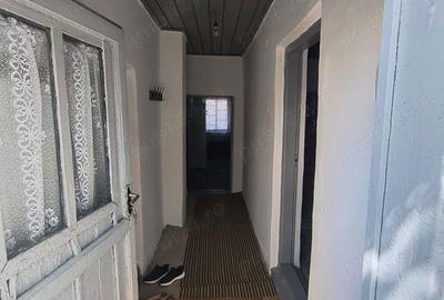 Teren de 1867 mp, în Manasia - 5