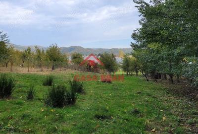 Casă cu Teren 2017 Mp în Breaza - 8