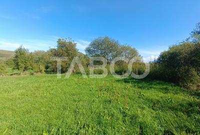 Casa de patrimoniu cu teren arhitectura saseasca sat Nou judetul Sibiu Casa de patrimoniu cu teren arhitectura saseasca sat Nou judetul Sibiu - 11