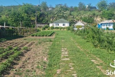Casă individuală cu 3 camere cu Teren 2400 Mp în Mahmudia - 1