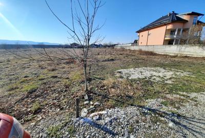 Spațiu comercial, în Ostroveni - 7