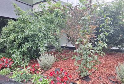 Ap 3 Camere Bloc  Boutique 2022 Utilat-Mobilat Strada Magatti PARC si METROU Ap 3 Camere Bloc  Boutique 2022 Utilat-Mobilat Strada Magatti PARC si METROU - 23