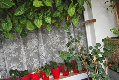 Apartament cu 4 camere decomandat în Militari - 1