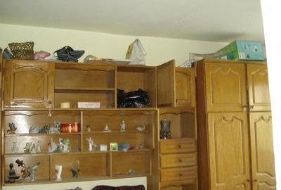 Apartament cu 2 camere semidecomandat în Șagului