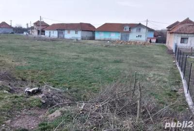 Teren de 2383 mp, în Buntești - 6