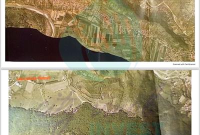 Teren extravilan de 100000 mp, în Berca - 4