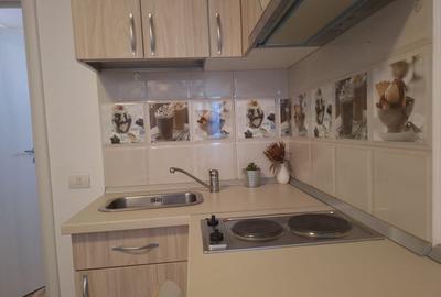 Garsonieră decomandată, mobilată în Central - 5