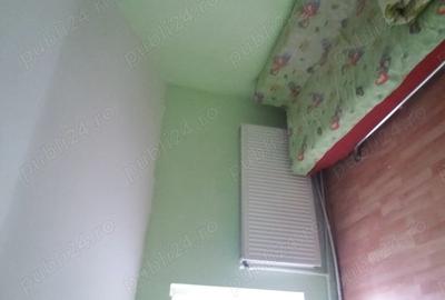 Cabana la munte in tarcau - 9