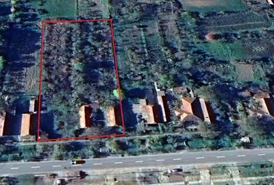 Teren cu casa batraneasca de vanzare Taut, Arad - 4