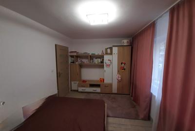 Apartament cu 2 camere semidecomandat în Banat - 2