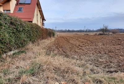 Teren de 1500 mp, în Ciolpani