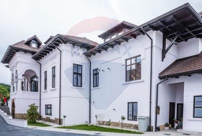 Două vile de patrimoniu, restaurate integral, cu farmec interbelic - 4