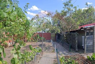 Casa / Vila cu 6 camere de vanzare in zona Calea Seve... - 9