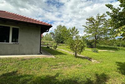 Casa Pensiune in Viile Satu Mare teren 1,63 ha, 11 camere, 10 bai - 14