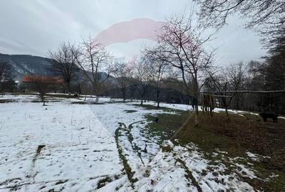 Teren Zarnesti /Bran/Predelut6 Strada Pe tarina - 7