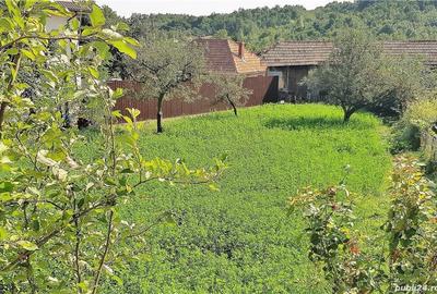 Casă cu 6 camere cu Teren 2000 Mp în Bătrâni - 2