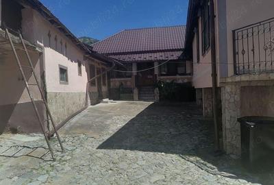 Casa si Teren Tara Lovistei Greblesti - 2
